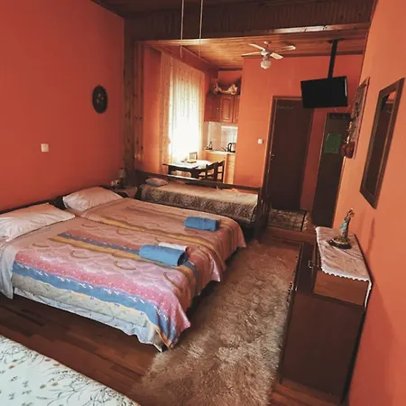 Casa de hóspedes Olympiades Litóchoro 4*